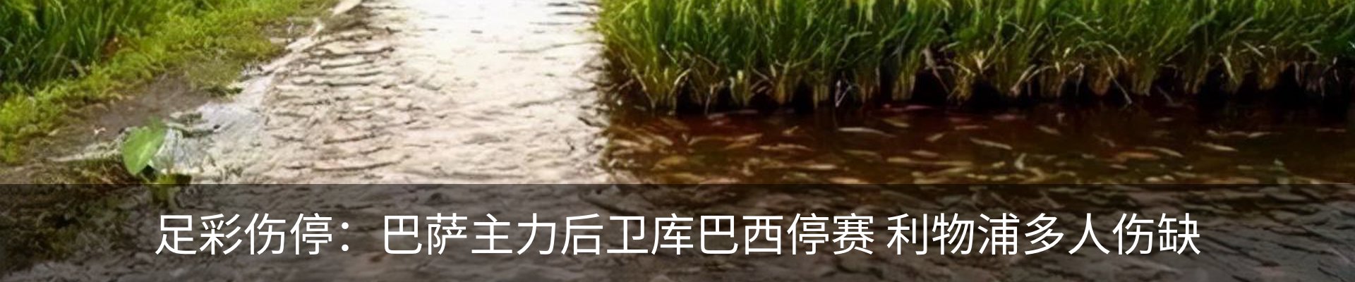 资讯中心